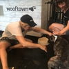 Wooftown gallery