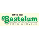 Gastelum  Tree Service - Stump Removal & Grinding