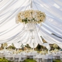 Platinum Event Rentals