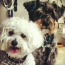 Marina Animal Hospital - Veterinary Clinics & Hospitals