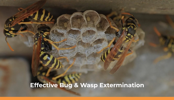 South Gippsland Pest Control. Effective Bug & Wasp Extermination