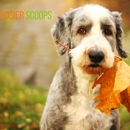 Hoosier Scoops, LLC - Pet Services