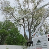 Baker Tree Service gallery