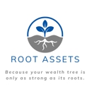 Root Assets PLC - Financial Planners