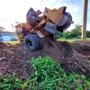 Max Granger Stump Grinding gallery