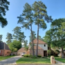 Highpoint Tree Care | Tree Service Spring TX - Tree Service