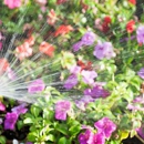 Hatch Irrigation - Sprinklers-Garden & Lawn
