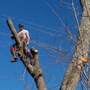 James Alexander Tree Professional - Tree Service