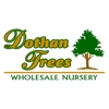 Dothan Trees gallery