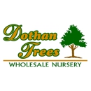 Dothan Trees - Tree Service