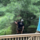 Innovative Tree Works