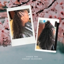 Braids By Bee Inc. - Beauty Salons
