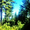 The Sequoia Retreat Center gallery