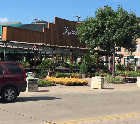 Ruibal's Plants of Texas - Dallas, TX