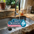 Cherry Blossom Plumbing - Water Heater Repair