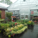 Treeland Garden Center & Nursery - Garden Centers