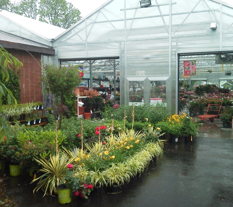 Treeland Garden Center & Nursery - Bridgeport, CT