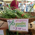 Loudon Station Farmers Market