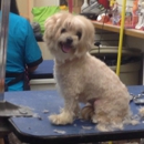 Mon Ami Dog Grooming - Dog & Cat Grooming & Supplies