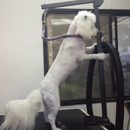 Earth Angels Mobile Pet Spa - Pet Specialty Services