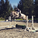 Spot On Sporthorses - Pony Rides