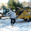 New England Tree Pros Inc gallery