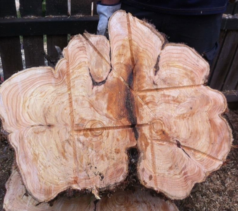 Tree Safe Solutions - Keilor East, VIC