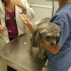 Spring Valley Animal Hospital