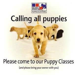 Animal Clinic Maffra - Maffra, VIC