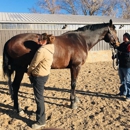 Front Range Equine Performance & Rehabilitation