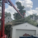 Emergency Tree Specialists - Tree Service