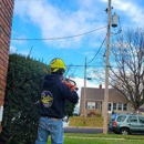 Bully's Tree Service - Tree Service