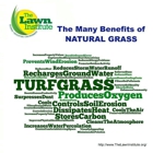 Fairway  Green Lawn Care