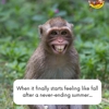100th Monkey gallery