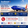 Southwest Airlines Support- Las Vegas Airport gallery