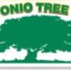 San Antonio Tree Service gallery