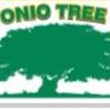 San Antonio Tree Service