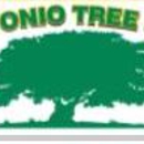 San Antonio Tree Service - Stump Removal & Grinding