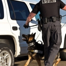 Top Gun Body Guard, Investigations & Security Consulting - Financial Services