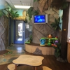 Little Smiles Pediatric Dentistry gallery