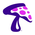 Mellow Mushroom Roanoke