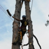 Dano's Tree Service gallery