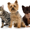 Arlington-Adams Animal Hospital - Veterinary Clinics & Hospitals