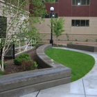 Paragon Associates, Inc