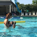 Aquatic Management of Austin - Swimming Pool Equipment & Supplies