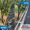 Total Softwash Solutions gallery