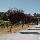 Sarah's Vineyard - Tourist Information & Attractions