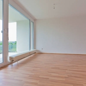 Gallery Image Number 4