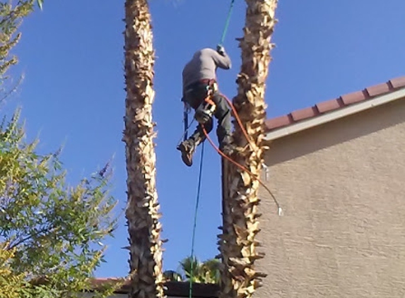 Aron's Tree Service - Las Vegas, NV