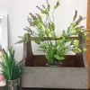 Curb N Decor gallery